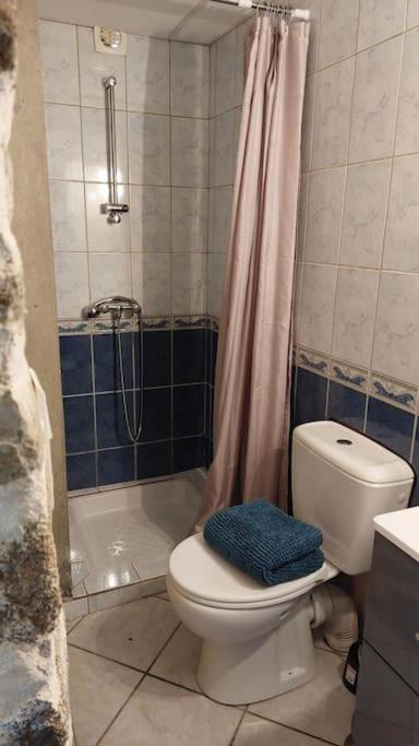 Maisonnette Chaleureuse De 35M2 Miremont  Exterior photo